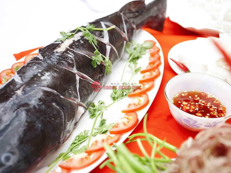 Top 7 món ngon từ cá lăng