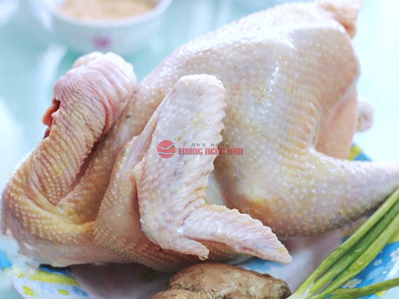 Gà hấp mắm nhĩ ngon chuẩn vị