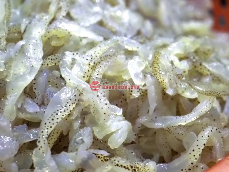 Gỏi sứa hải sản Gỏi sứa hải sản