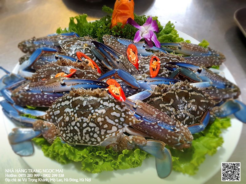 Đặt tiệc cuối năm tại nhà Hà Nội chất lượng ở đâu? Đặt tiệc cuối năm tại nhà Hà Nội chất lượng ở đâu?